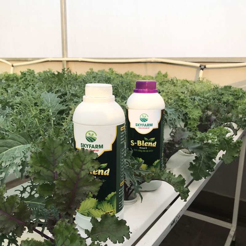 Cặp dung dịch thủy canh S-Blend 1L dành cho rau ăn lá