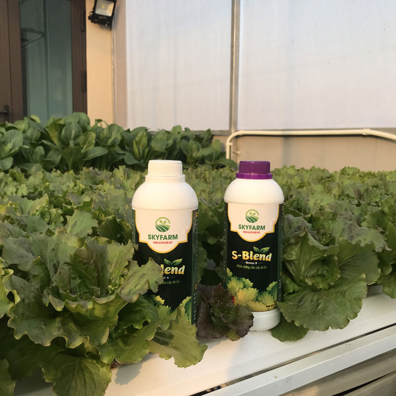 Cặp dung dịch thủy canh S-Blend 1L dành cho rau ăn lá