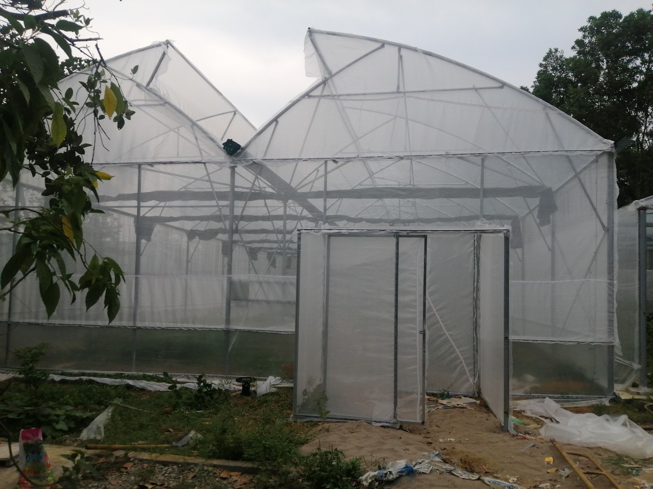 Thiết kế nhà màng trồng rau sản xuất