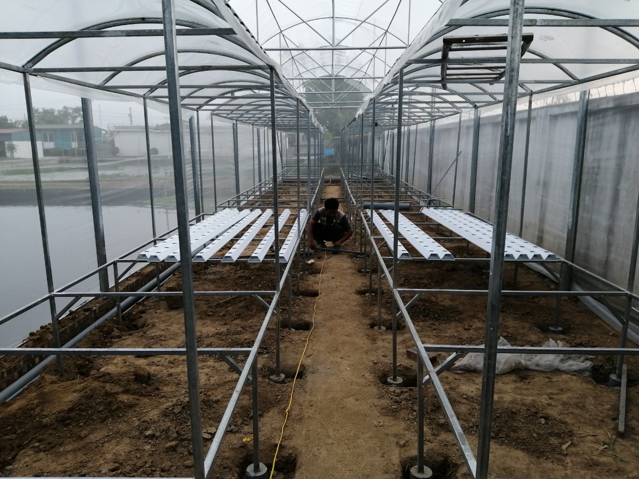 Bên trong nhà màng trồng rau sản xuất