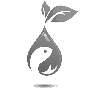 Phân bón & thuốc BVTV