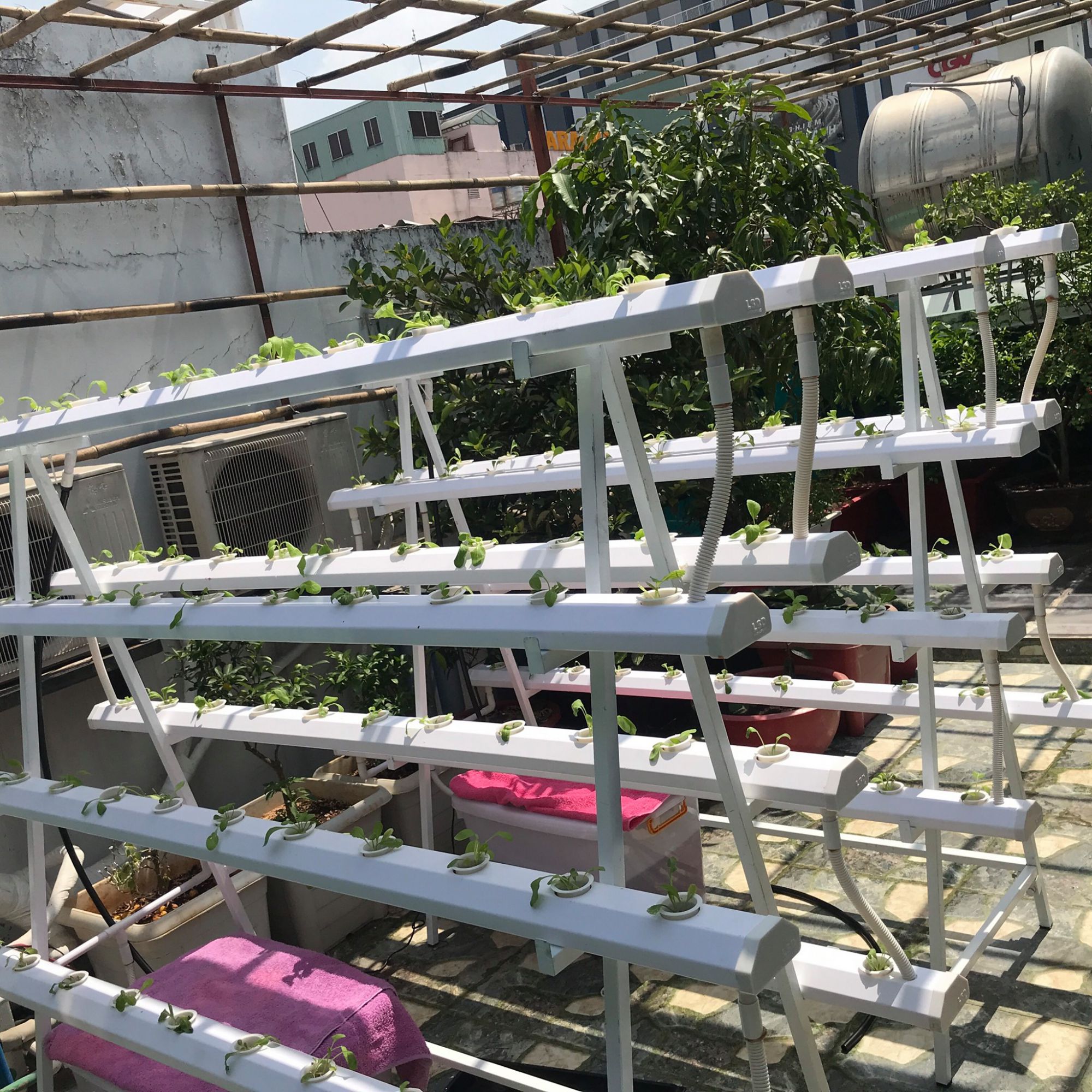 Bán giàn thủy canh chữ giá bền, đẹp