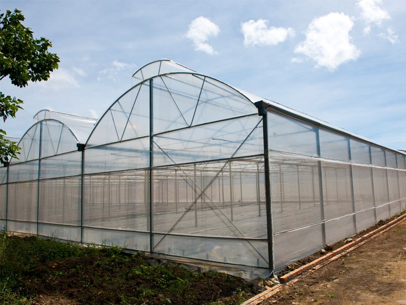 Mẫu nhà kính 2 mái hở cố định