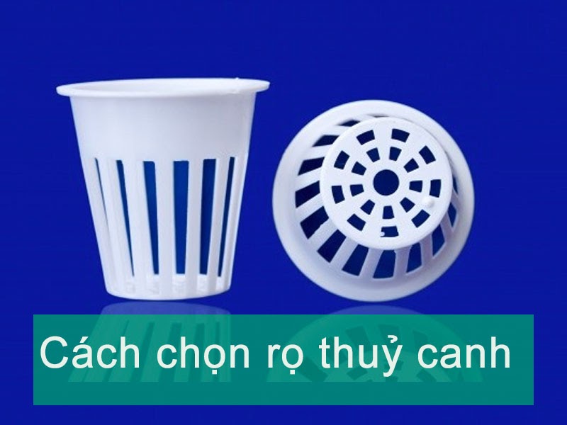 Cách chọn rọ trồng rau thủy canh tốt nhất