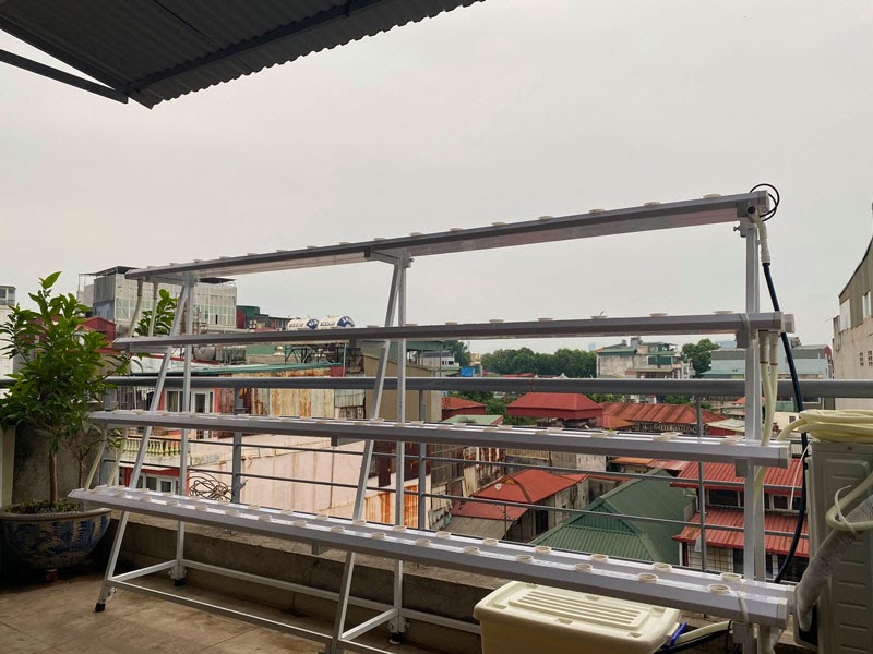 Chi phí lắp giàn rau thủy canh là bao nhiêu Chi phí lắp giàn rau thủy canh là bao nhiêu