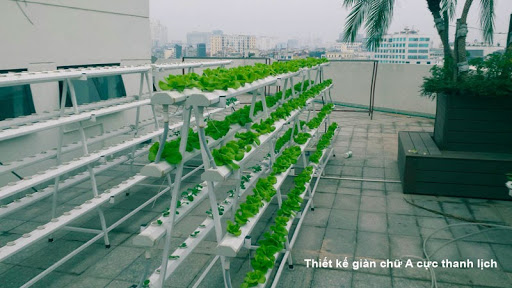 Những chi phí nào khi lắp giàn rau thủy canh Những chi phí nào khi lắp giàn rau thủy canh