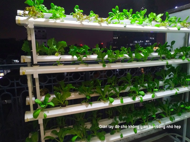 Những chi phí lắp giàn rau thủy canh hiện nay Những chi phí lắp giàn rau thủy canh hiện nay