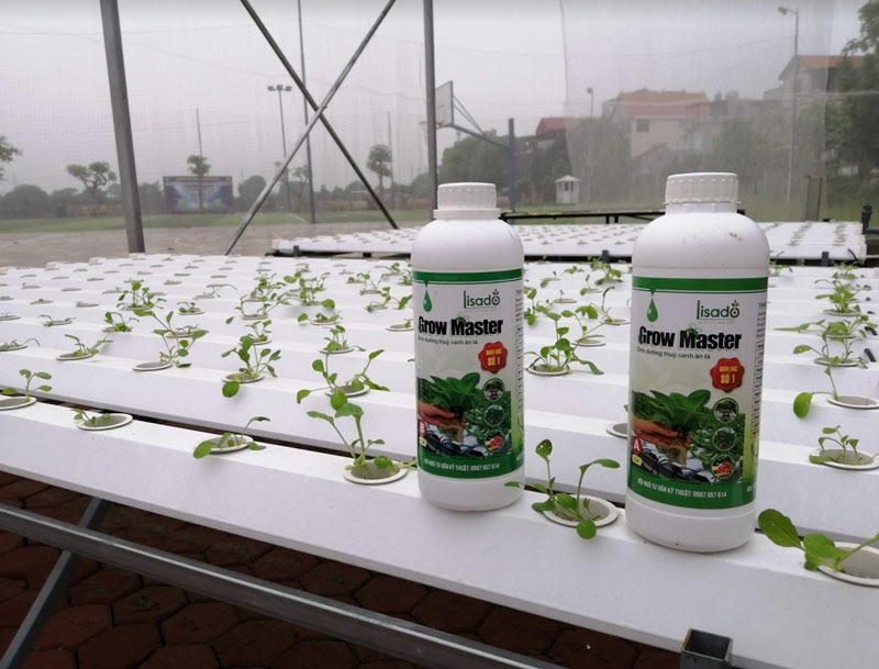 Dinh dưỡng Grow Master cũng được đội ngũ SkyFarm tư vấn sử dụng. 