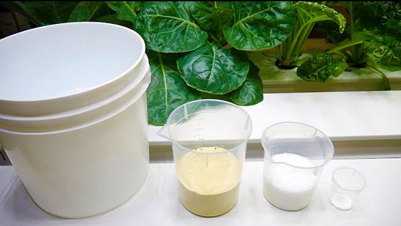 Bột thủy canh thường có nồng độ đậm đặc hơn