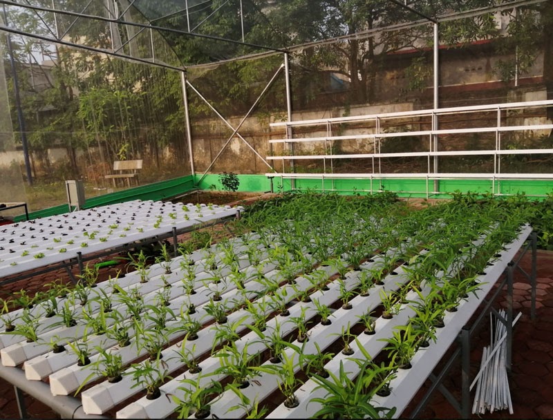 Trong quá trình vận hành, đội ngũ SkyFarm cũng sẽ luôn đồng hành tư vấn và hỗ trợ khách hàng. 