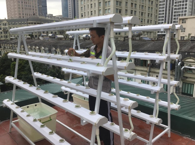 Các kỹ sư tại SkyFarm đã phải tính toán rất kỹ lưỡng với dự án thủy canh của gia đình chú Hải.