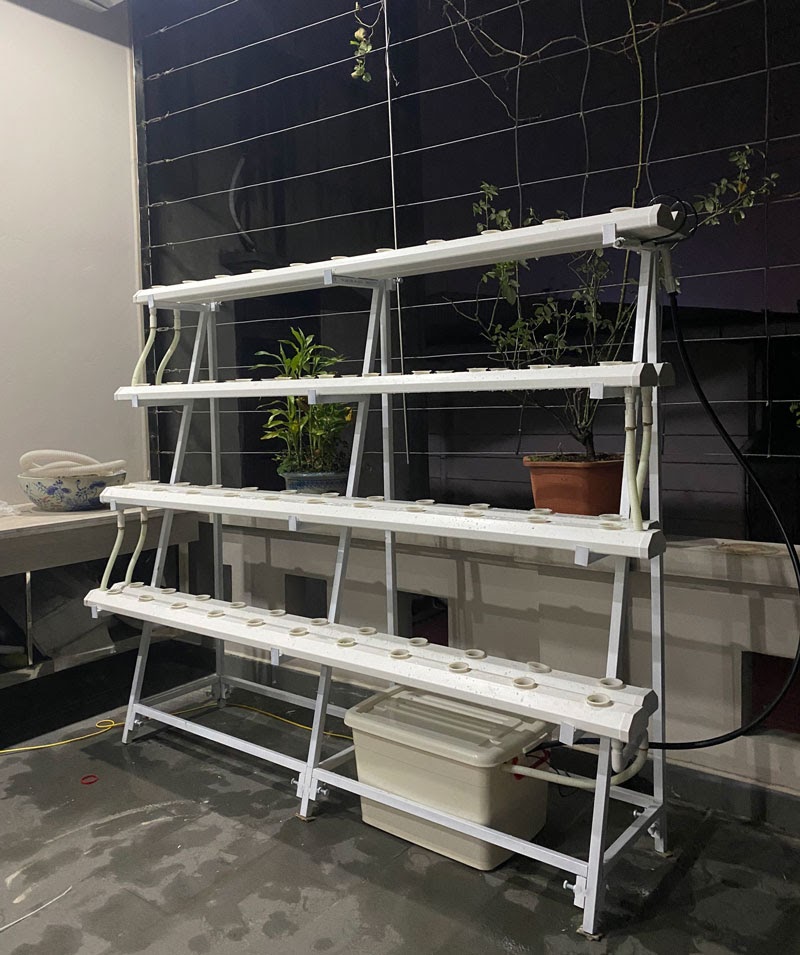 Giàn thủy canh bán chữ A tại nhà chị huyền Giàn thủy canh bán chữ A tại nhà chị huyền