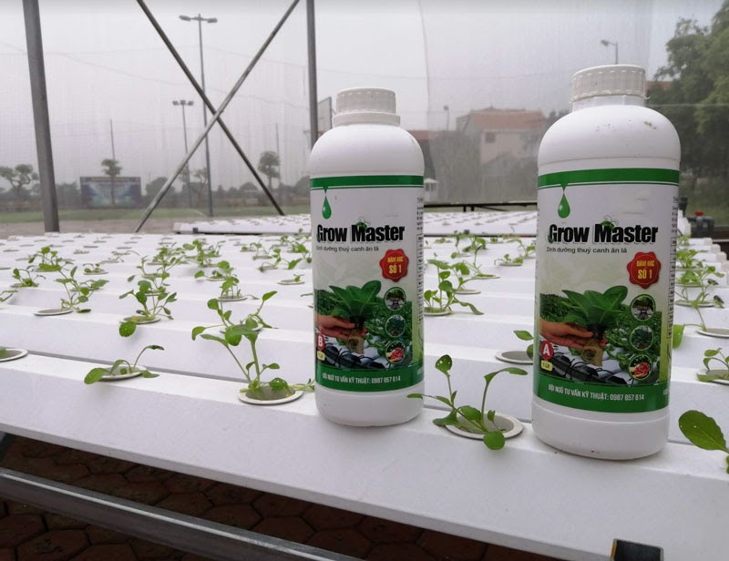 Dung dịch dinh dưỡng là vật tư thủy canh tiêu hao tối quan trọng