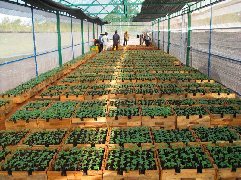 Hướng dẫn cách chọn lưới che nắng