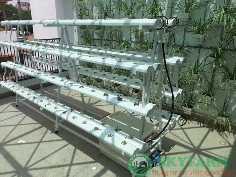 Giàn thủy canh chữ A GLS09 năng suất cực trội