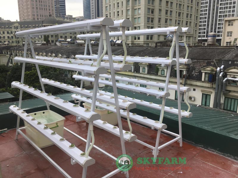 Mẫu giàn chữ A cực chất tại tầng thượng