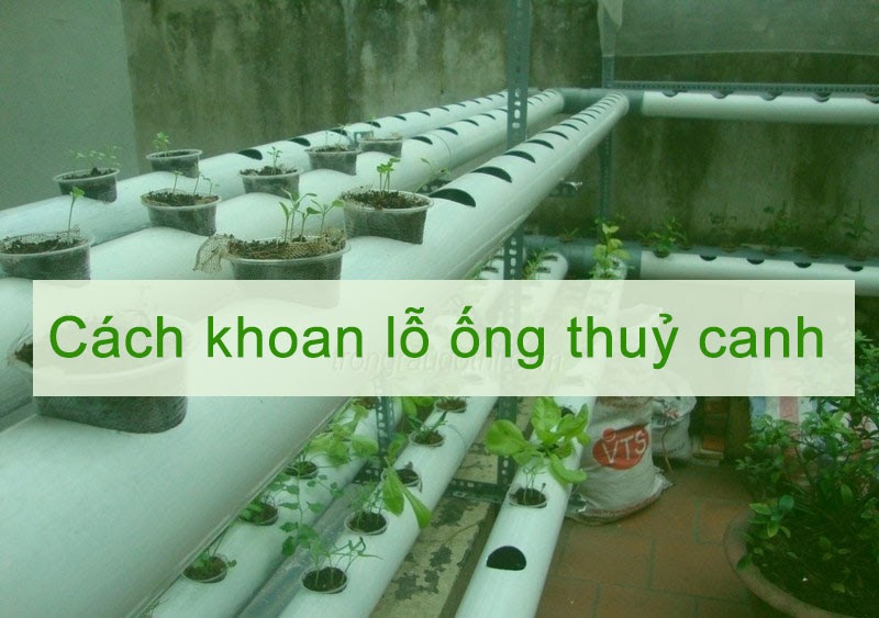 Quy cách tiêu chuẩn của ống thủy canh