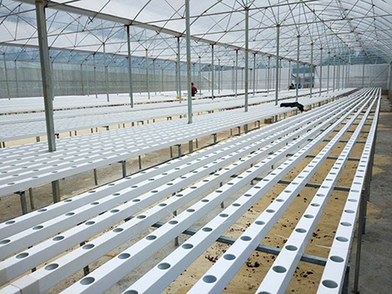 chọn màng pe lợp nhà kính phù hợp chọn màng pe lợp nhà kính phù hợp