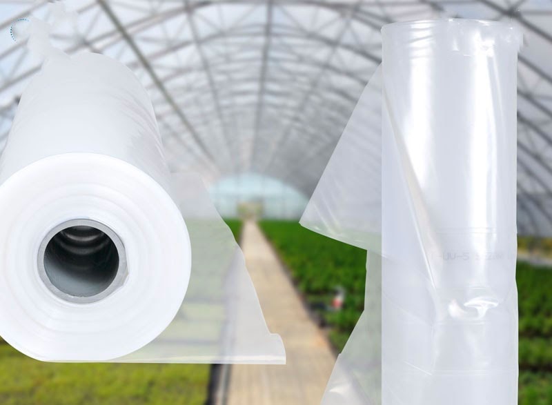 màng pe lợp nhà kính politiv màng pe lợp nhà kính politiv