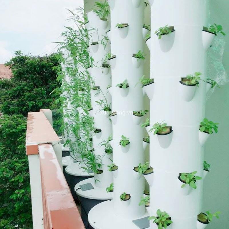 Thủy canh trụ đứng có ưu điểm gì