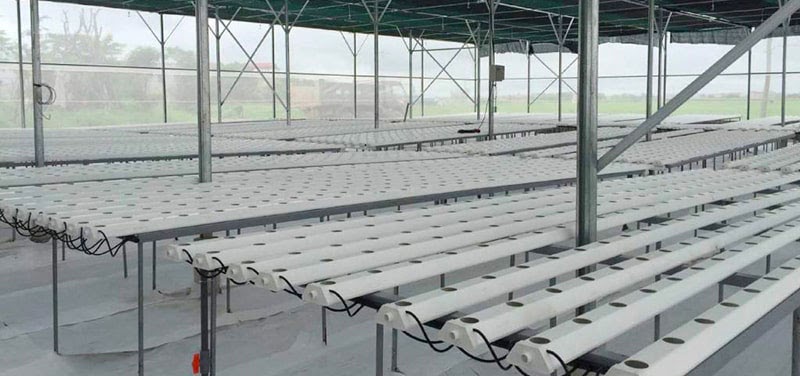 Nên lựa chọn mua ống lục giác thủy canh ở đâu