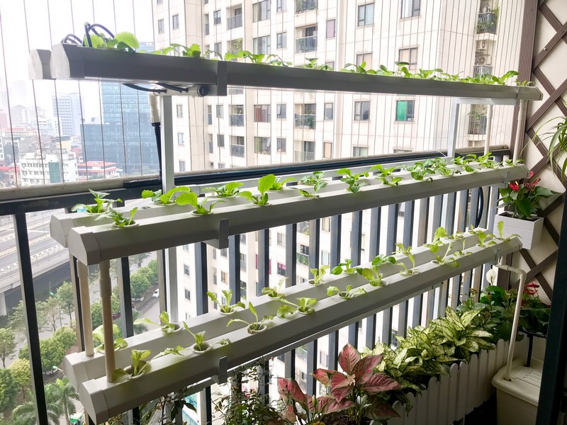 Thiết kế giàn ban công chung cư đẹp