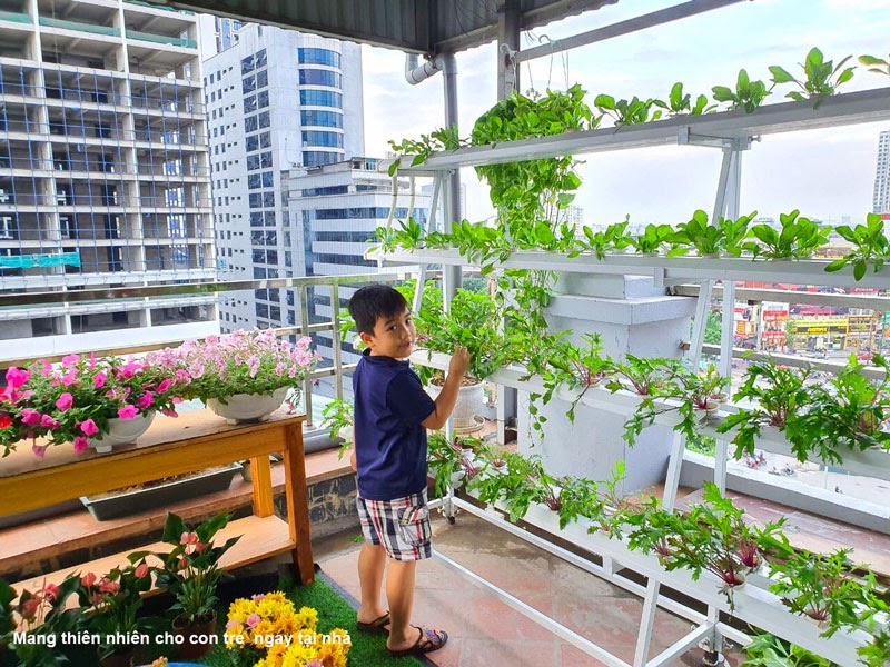 Lựa chọn đơn vị thi công thủy canh để có được chi phí trồng rau tốt nhất