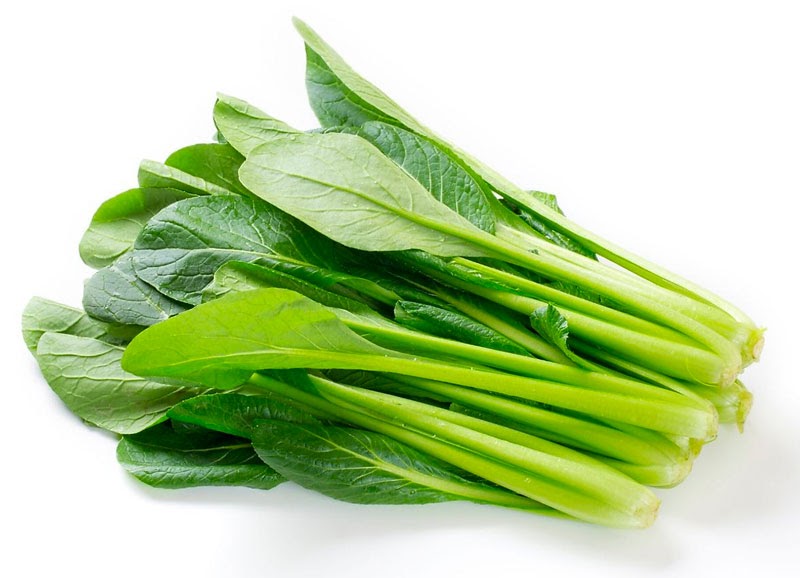 rau cải ngọt thích hợp trồng vào mùa đông rau cải ngọt thích hợp trồng vào mùa đông